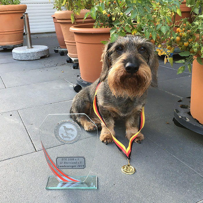 HiunterLandessieger 700x700