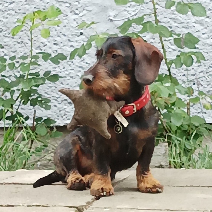 IMG_20230728_134058 700x700